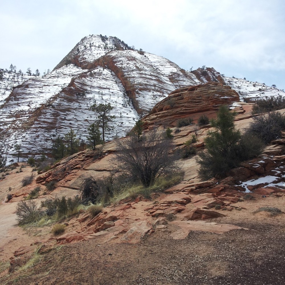 Meet your Posher, Suzi